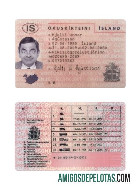 Carta de condução da Islândia amostra